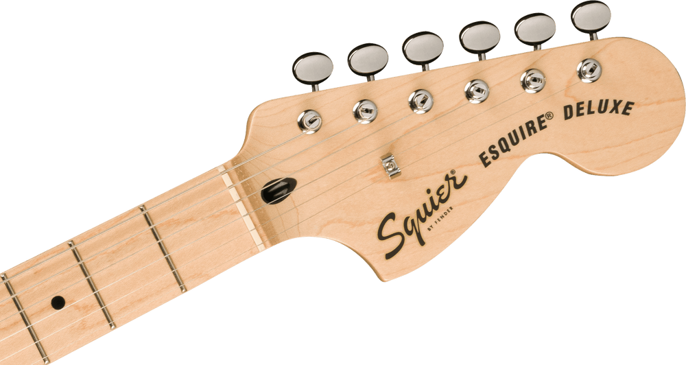 Paranormal Esquire Deluxe Maple Fingerboard Blac