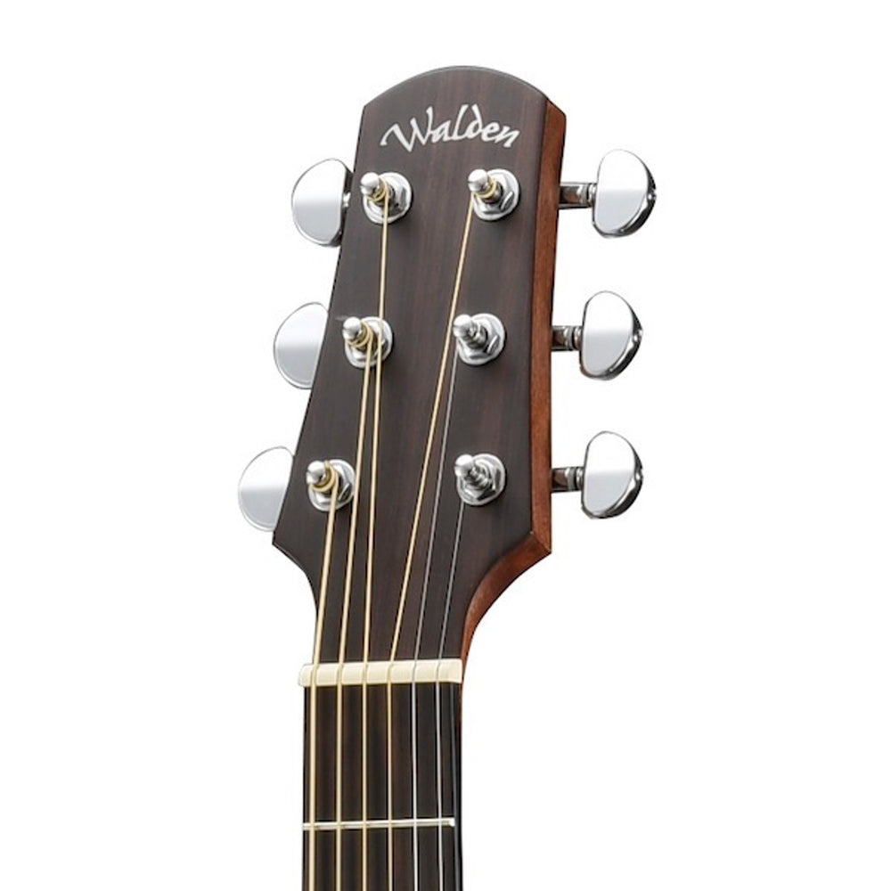Dreadnaught Body Solid Cedar top | Mahogany back