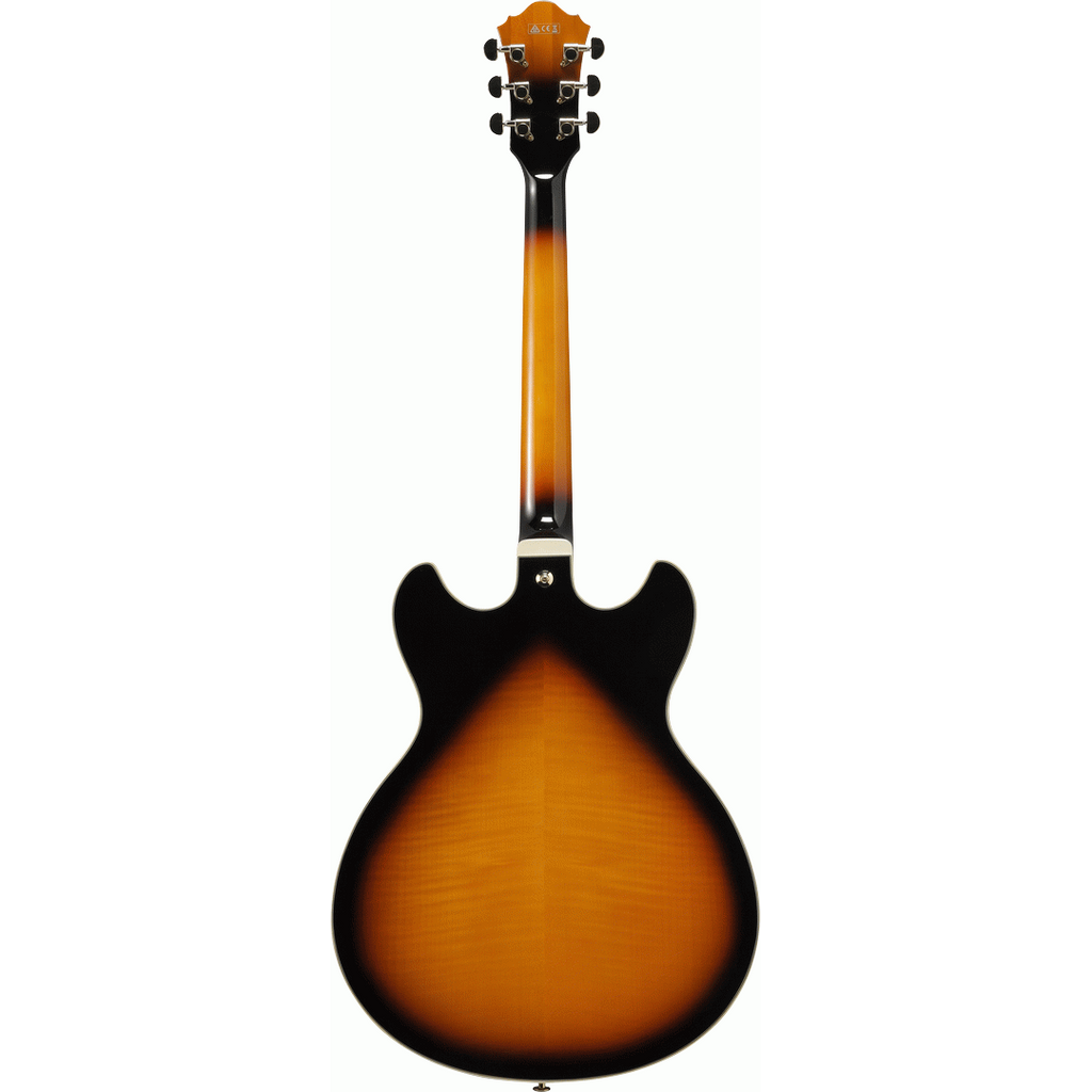 2025年2月購入 Ibanez AS113-BS 約3.4kg IBANEZ AS113 BS - Ardemadrid-microFusa