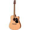Walden D255CE Hawthorne Dreadnought Acoustic/Electric Guitar