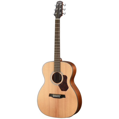 Orchestra Body Solid Spruce Top | Mahogany Back
