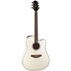 Takamine G37 Series Dreadnought AC/EL Guitar wit
