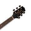Takamine G37 Series Dreadnought AC/EL Guitar wit