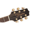 Takamine G70 Series Dreadnought AC/EL Guitar with Cutaway