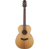 Takamine G20 Series NEX Acoustic Guitar