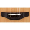Takamine G20 Series NEX Acoustic Guitar