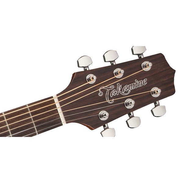 Takamine G20 Series NEX Acoustic Guitar