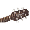 Takamine G20 Series NEX Acoustic Guitar