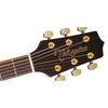 Takamine G50 Series NEX AC/EL Guitar with Cutaway TGN51CENAT