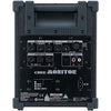 Roland CM30 Cube Monitor 6.5" Amplifier