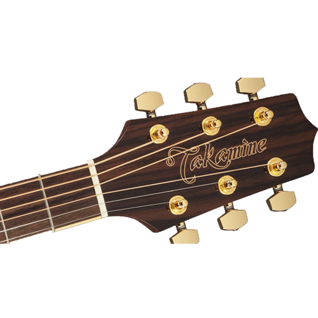 Takamine G50 Series Dreadnought AC/EL Guitar w