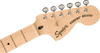 Paranormal Esquire® Deluxe, Maple Fingerboard, Black Pickguard, Metallic Black