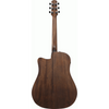 Ibanez AAD190CE OPN Acoustic/Electric Guitar Open Pore