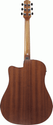 Ibanez AAD50CE LBS Advanced Acoustic/Electric Guitar