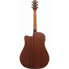 Ibanez AAD50CE LG Acoustic/Electric Guitar in Low Gloss