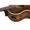 Ibanez AE340FMH MHS Acoustic Guitar