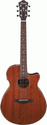 Ibanez AEG220 LGS AEG Acoustic Electric Guitar