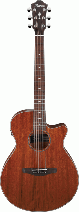 Ibanez AEG220 LGS AEG Acoustic Electric Guitar