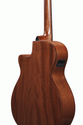 Ibanez AEG220 LGS AEG Acoustic Electric Guitar