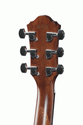 Ibanez AEG220 LGS AEG Acoustic Electric Guitar