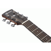 Ibanez AW247CE OPN Artwood Acoustic/Electric Guitar
