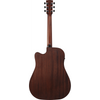 Ibanez AW247CE WKH Acoustic Guitar