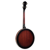 Barnes & Mullins BJ304GT 'Perfect' 4-String Gaelic Tenor Banjo