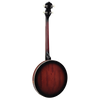 Barnes & Mullins BJ304 'Perfect' 4-String Tenor Banjo