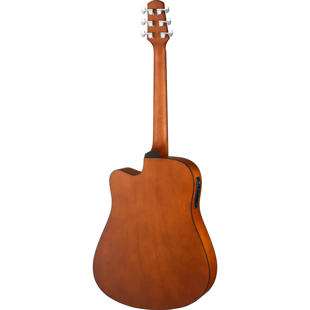 Walden D255CE Hawthorne Dreadnought Acoustic/Electric Guitar