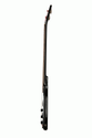 Epiphone Embassy Bass in Graphite Black
