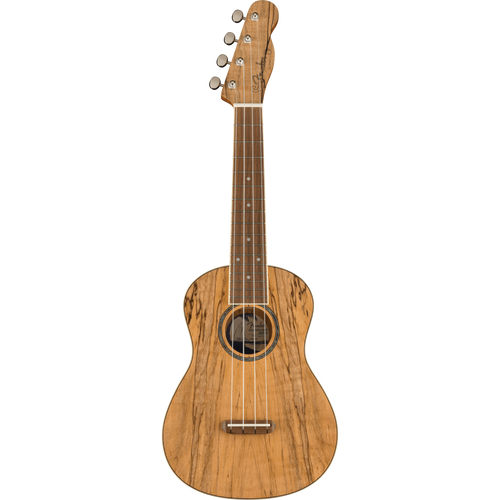 Fender Zuma Exotic Concert Ukulele, Walnut Fingerboard, Spalted Maple