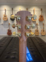 Cole Clark AN2EC Angel Bunya Blackwood Grand Auditorium Acoustic Guitar with Hard Case