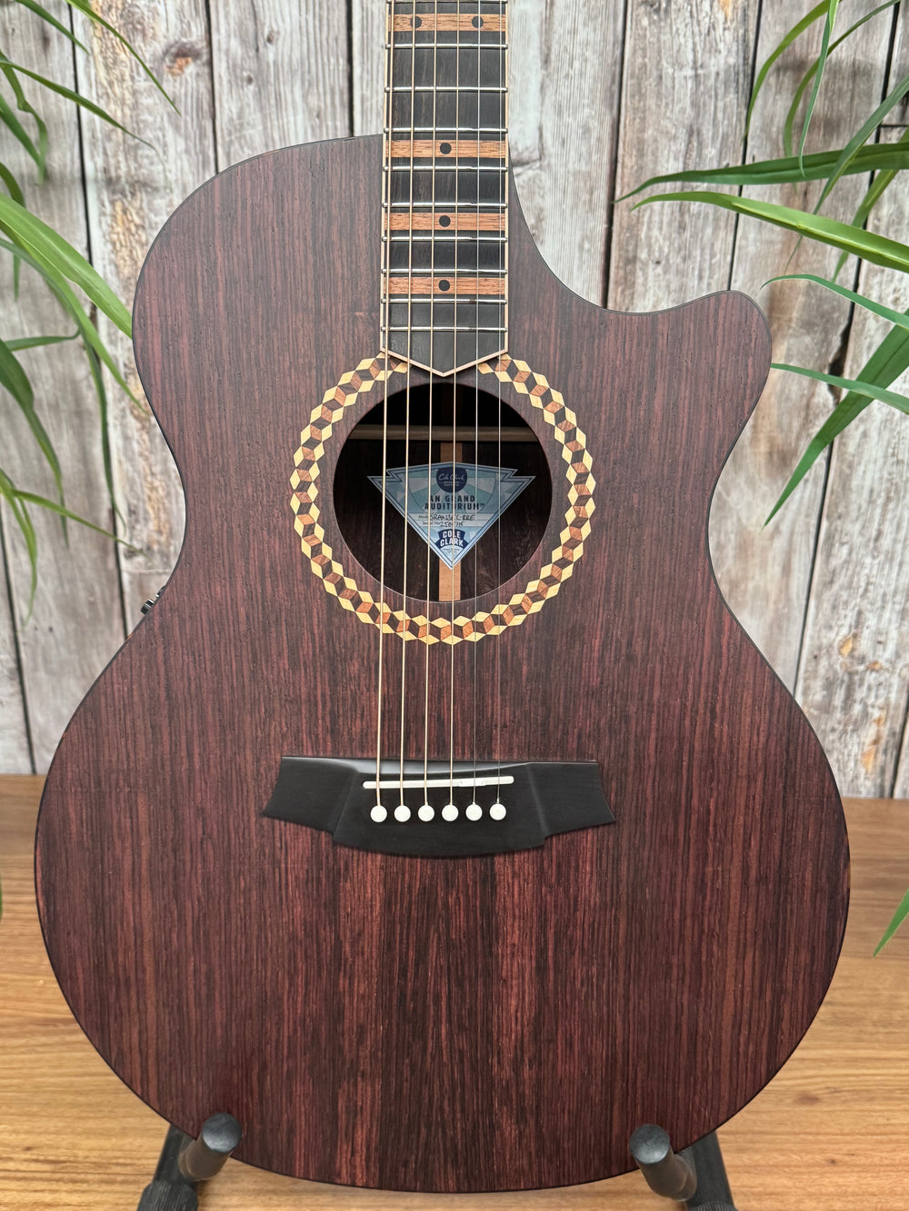 Cole Clark Recording DLXANEC All Rosewood EB