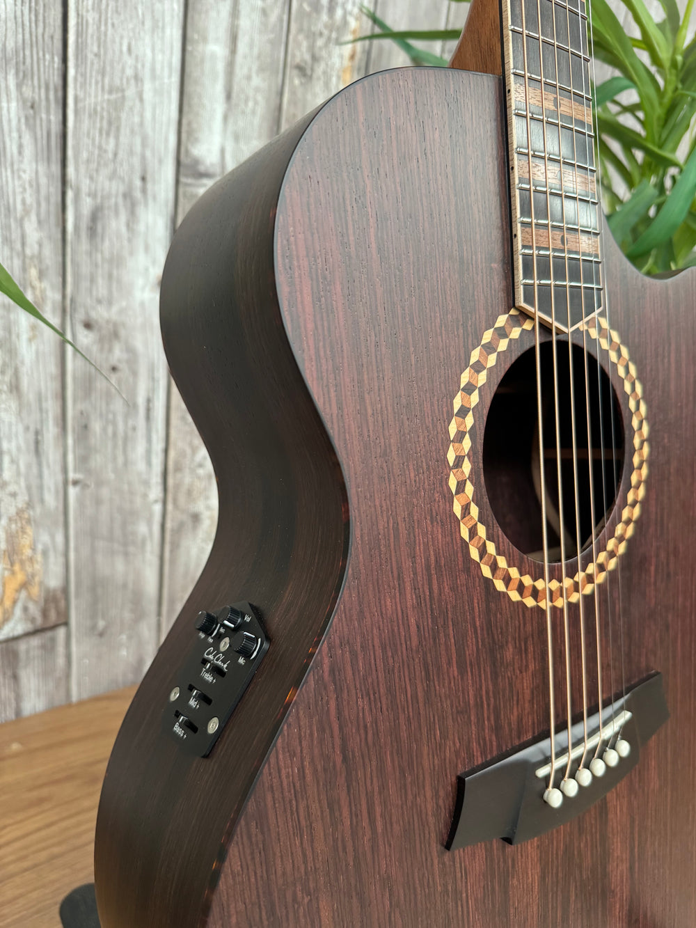 Cole Clark Recording DLXANEC All Rosewood EB