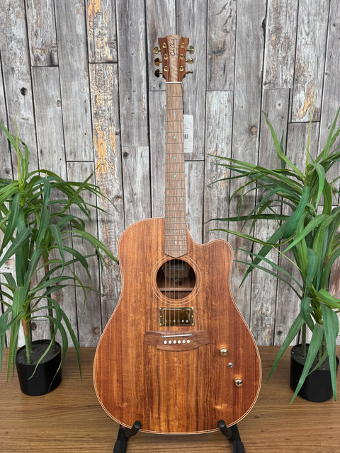 Cole Clark FL2EC All Blackwood Humbucker