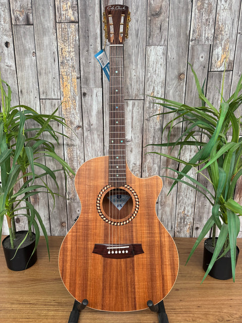 Cole Clark Recording2EC All Blackwood RW