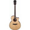 Ibanez AE410 LGS Acoustic Guitar