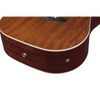 Ibanez PF16MWCE OPN Acoustic Guitar