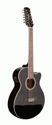 Ashton SL29/12CEQ Black 12 String Acoustic/Electric Guitar