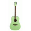 Ashton SPD30 KWI Acoustic Guitar w/ Gig Bag