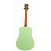 Ashton SPD30 KWI Acoustic Guitar w/ Gig Bag