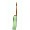 Ashton SPD30 KWI Acoustic Guitar w/ Gig Bag