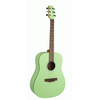 Ashton SPD30 KWI Acoustic Guitar w/ Gig Bag
