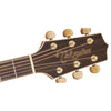 Takamine G70 Series Dreadnought AC/EL Guitar with Cutaway TGD71CENAT