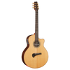 Tanglewood TSR2C MasterDesign all solid C/E with ABS Case