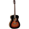 Tanglewood 70TE Sundance  Performance Pro Orchestra with ABS Case
