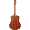 Tanglewood 70TE Sundance  Performance Pro Orchestra with ABS Case