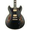 Ibanez JSM20 BKL John Scofield Signature Hollowbody Guitar in Hard Case