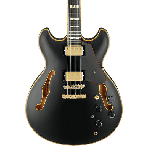 Ibanez JSM20 BKL John Scofield Signature Hollowbody Guitar in Hard Case