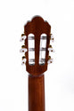 Sigma CTMC-2E Classical Guitar with Cutaway and EQ